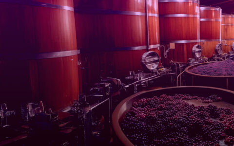 NetSuite in Wine and Spirits