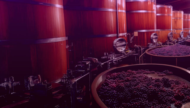 NetSuite in Wine and Spirits